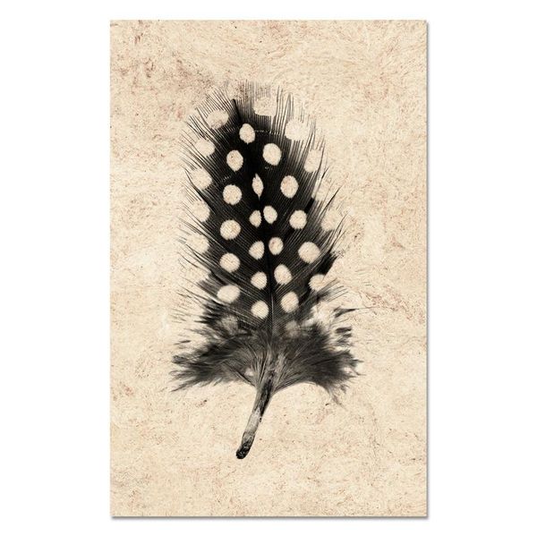 Feather Study #1 (Guinea Fowl) 