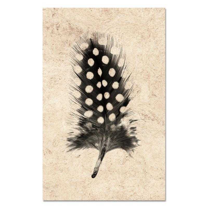 Feather Study #1 (Guinea Fowl) 