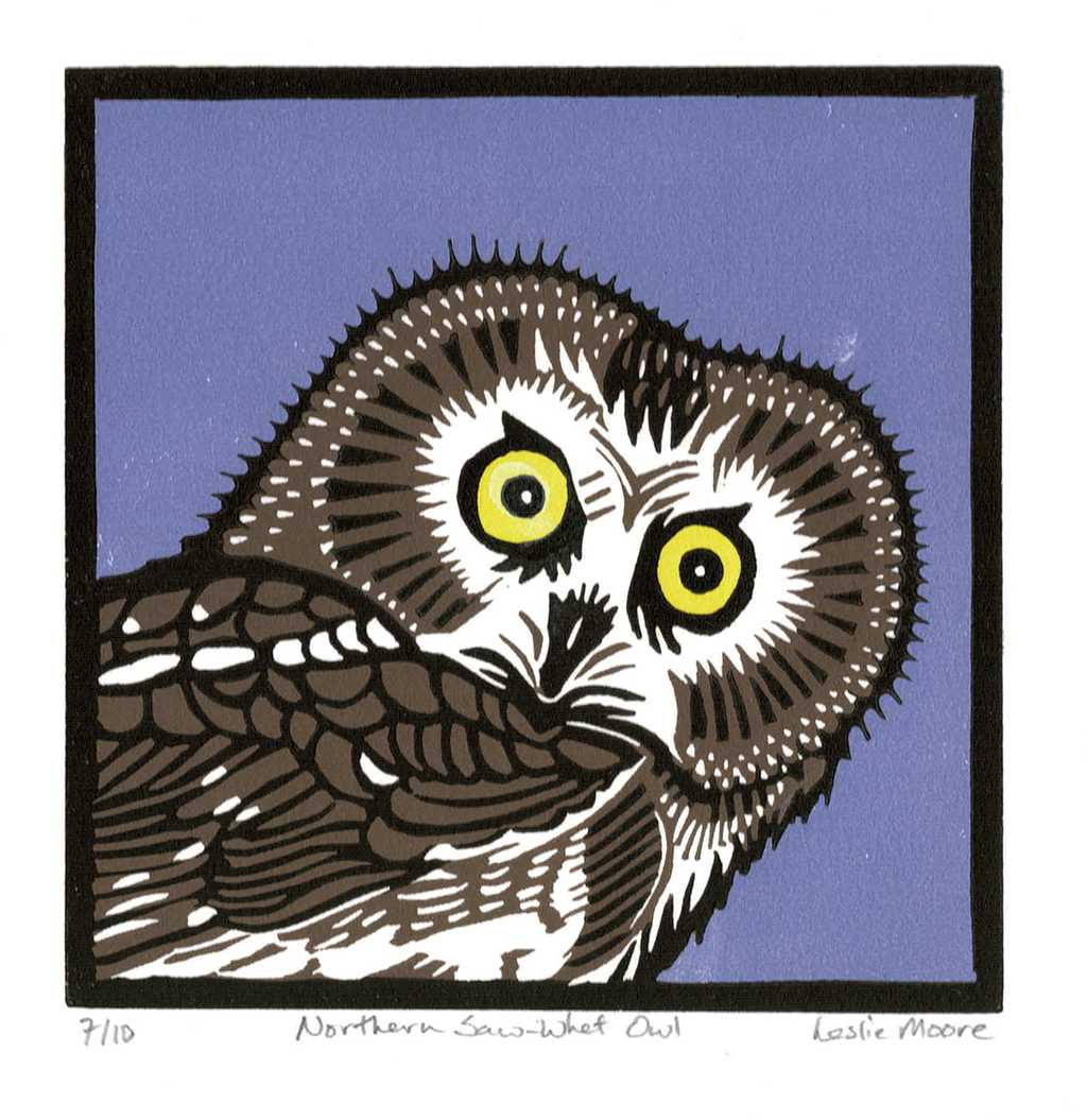 Northern Saw-Whet Owl Fine Art Linoleum Block Letterpress Print – Moon  Rabbit Press