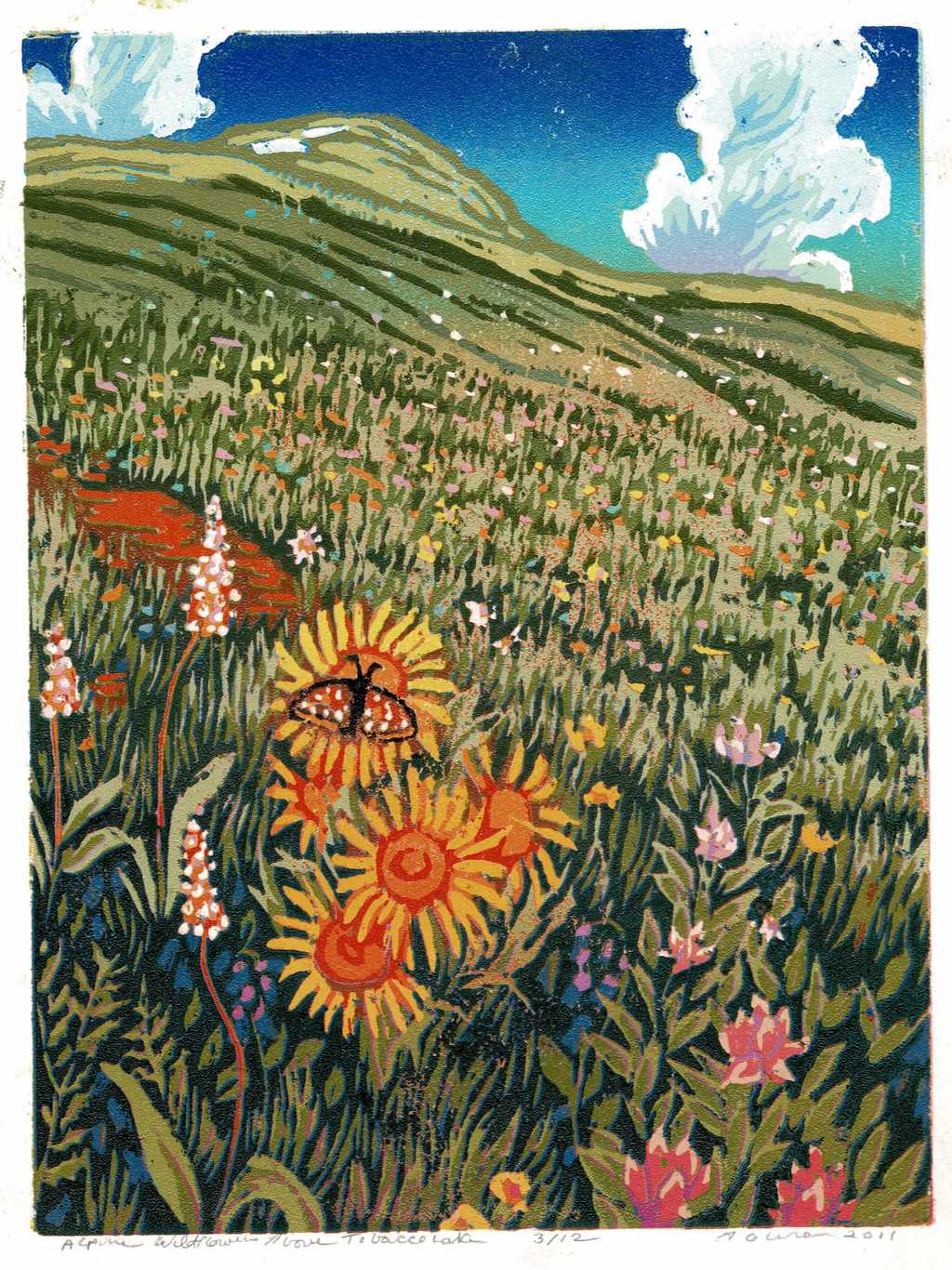 Alpine Wildflowers Above Tobacco Ridge