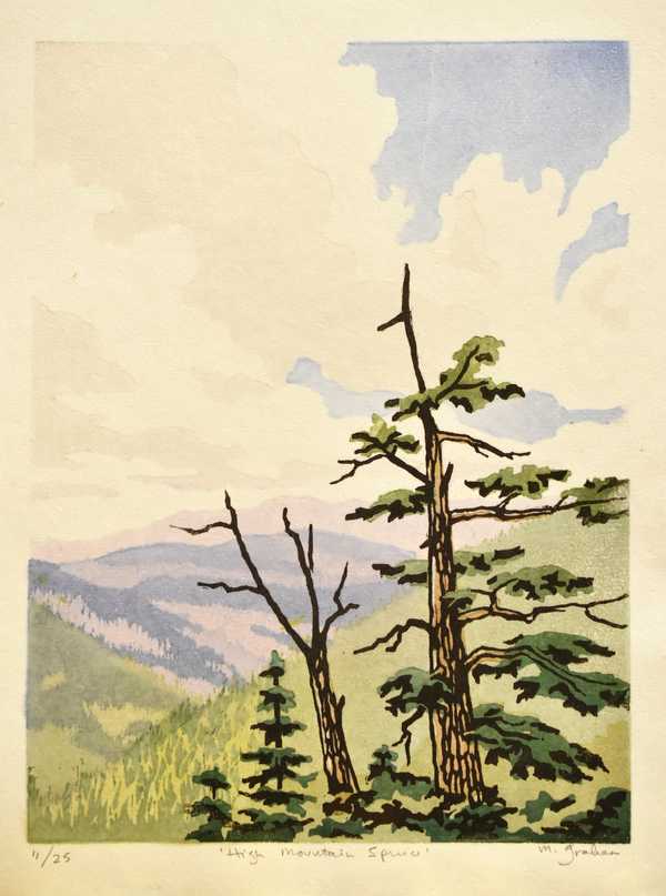 High Mountain Spruce