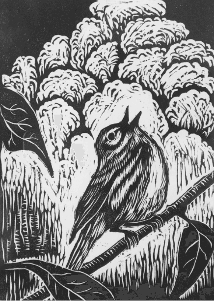 Prairie Warbler