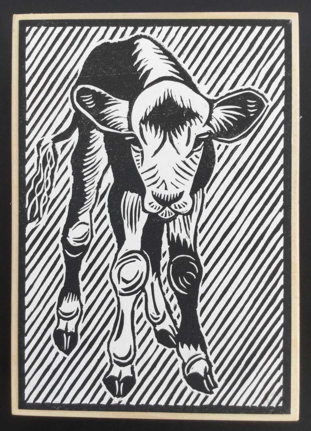 Calf