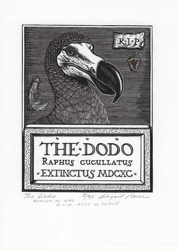 The Dodo, Extinct in 1690, R.I.P - Rest in Peace
