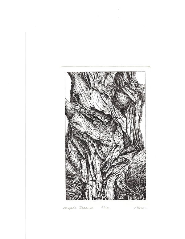 Maple Tree II