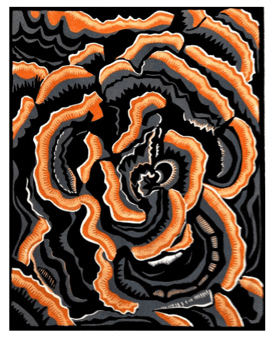 Turkey-Tail Bracket Fungus