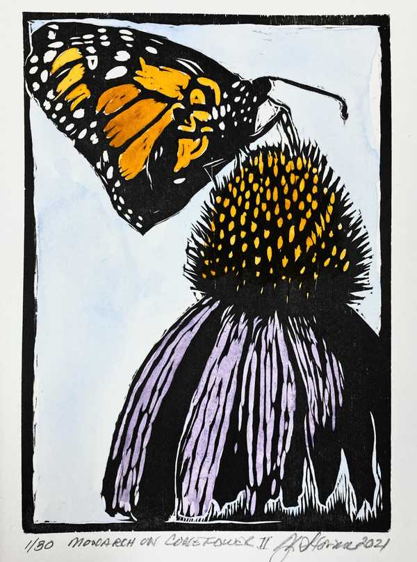 Monarch on Coneflower (color)