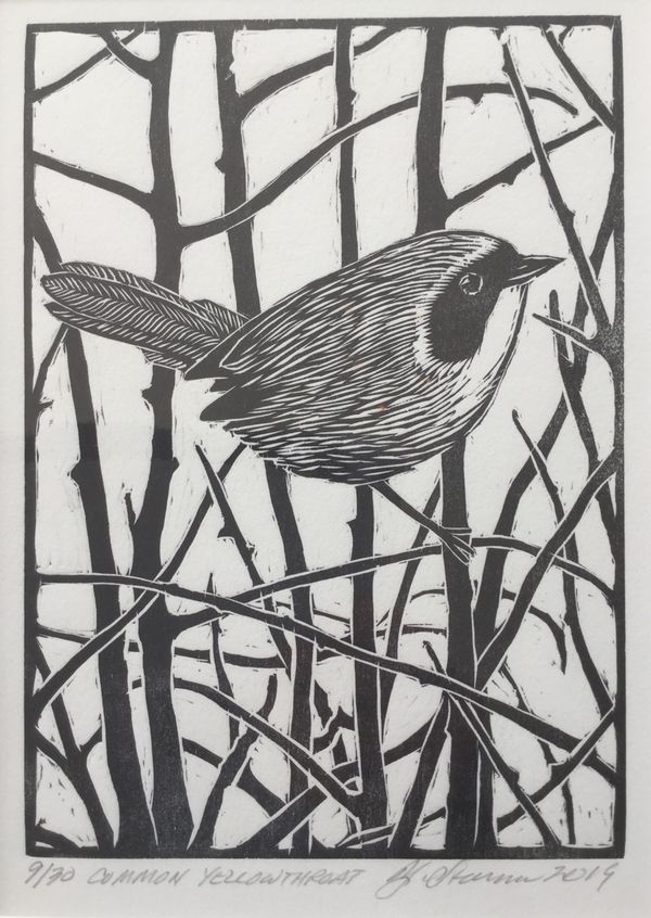 Common Yellowthroat