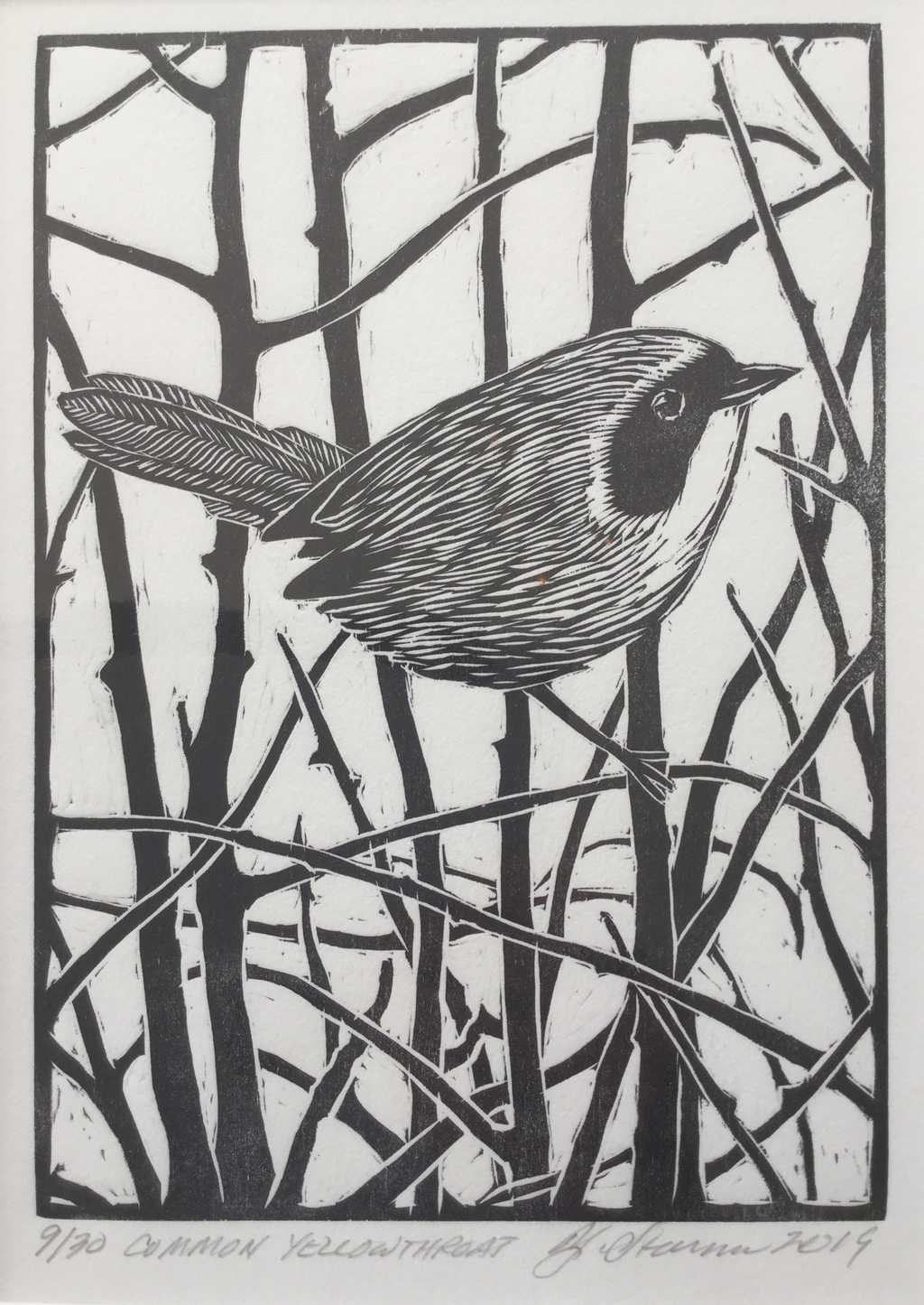 Common Yellowthroat