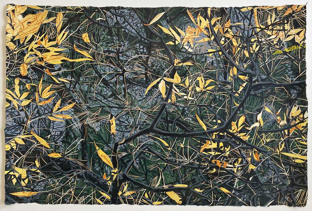 Thicket