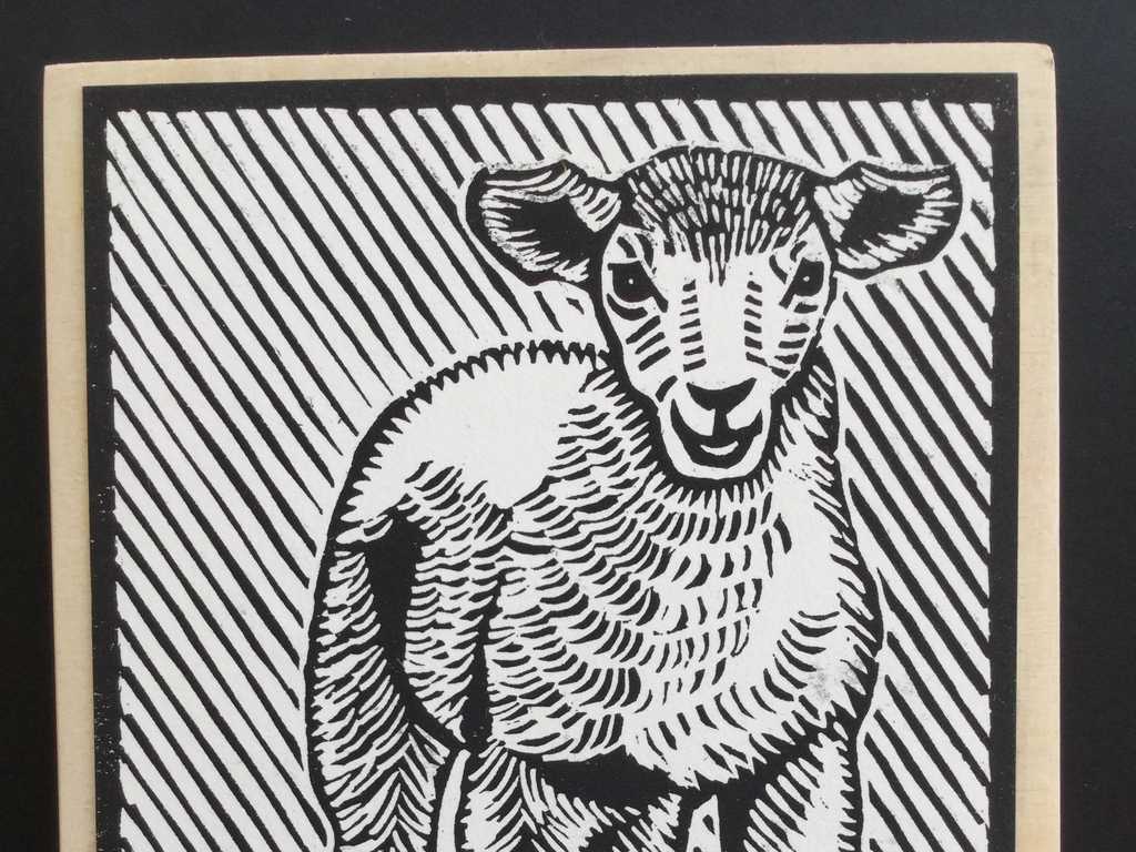 Lamb