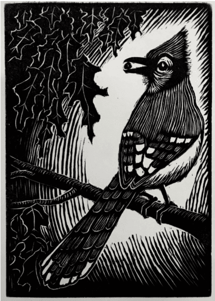 Blue Jay