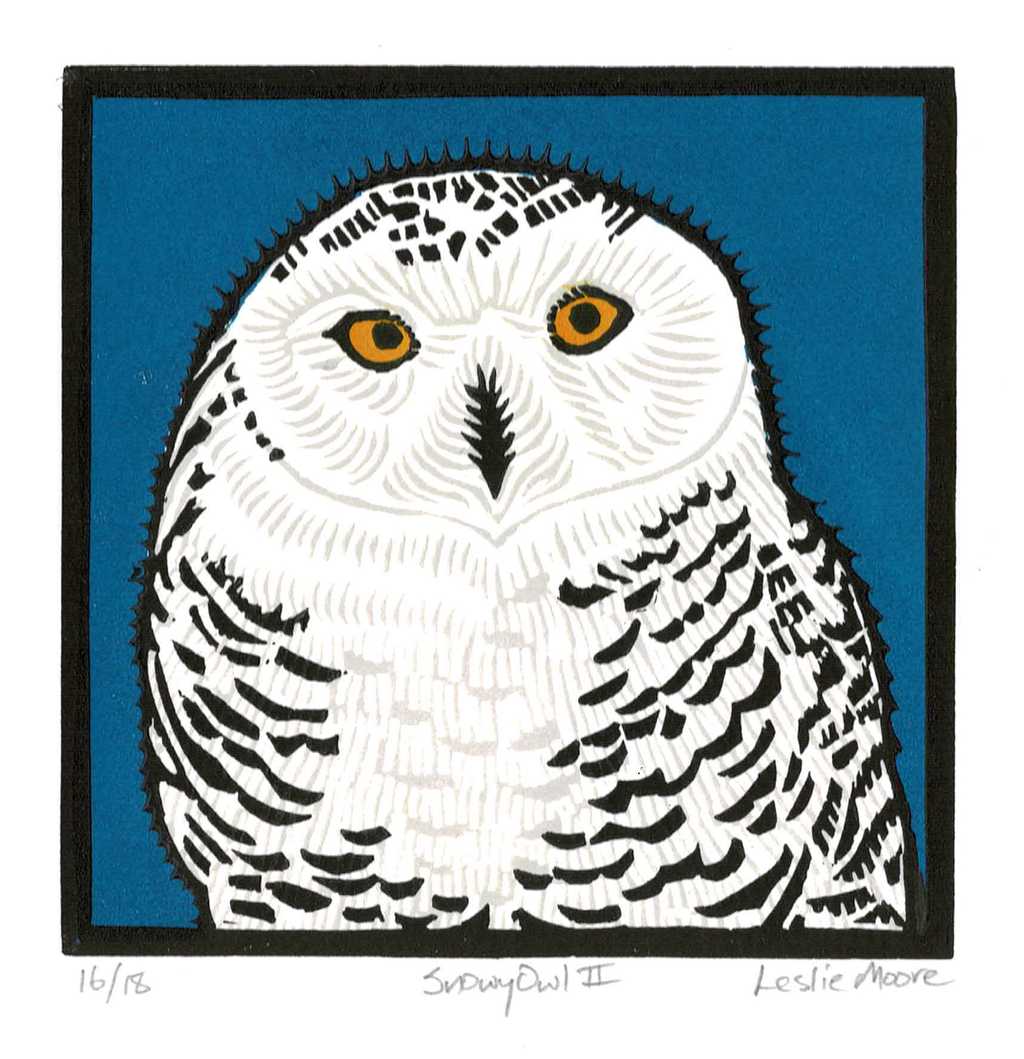 Snowy Owl II