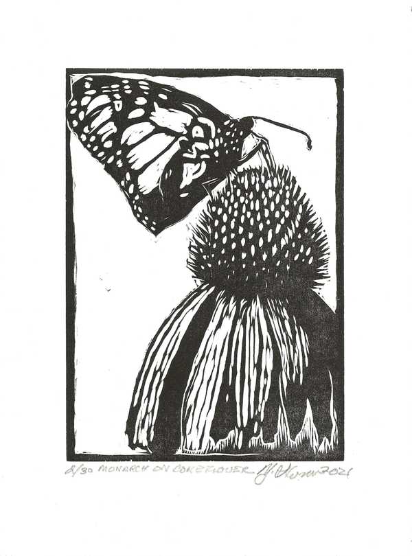 Monarch on Coneflower (black & white)