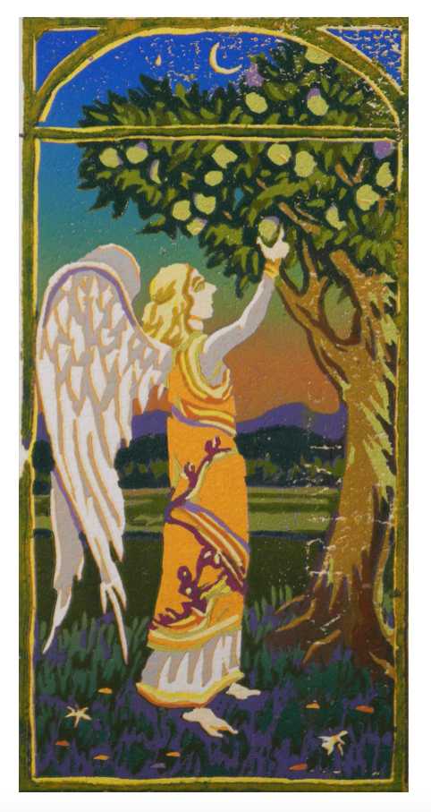 Lily Angel