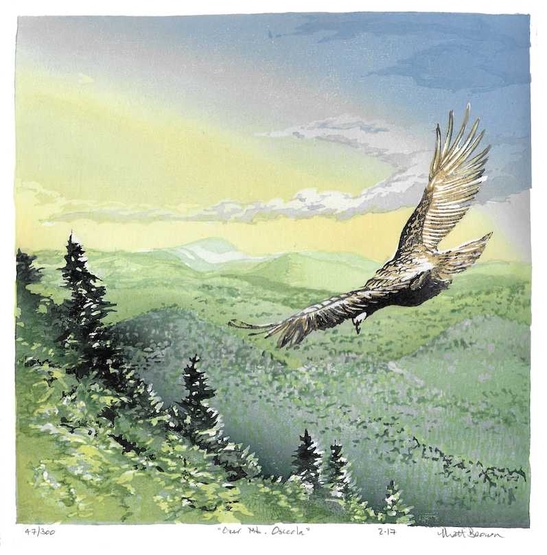 Over Mt. Osceola