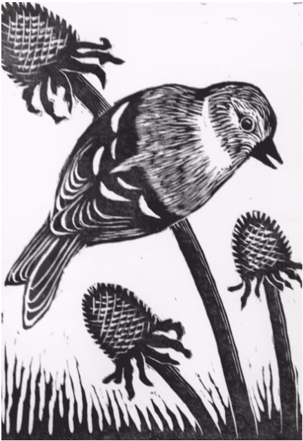 American Goldfinch