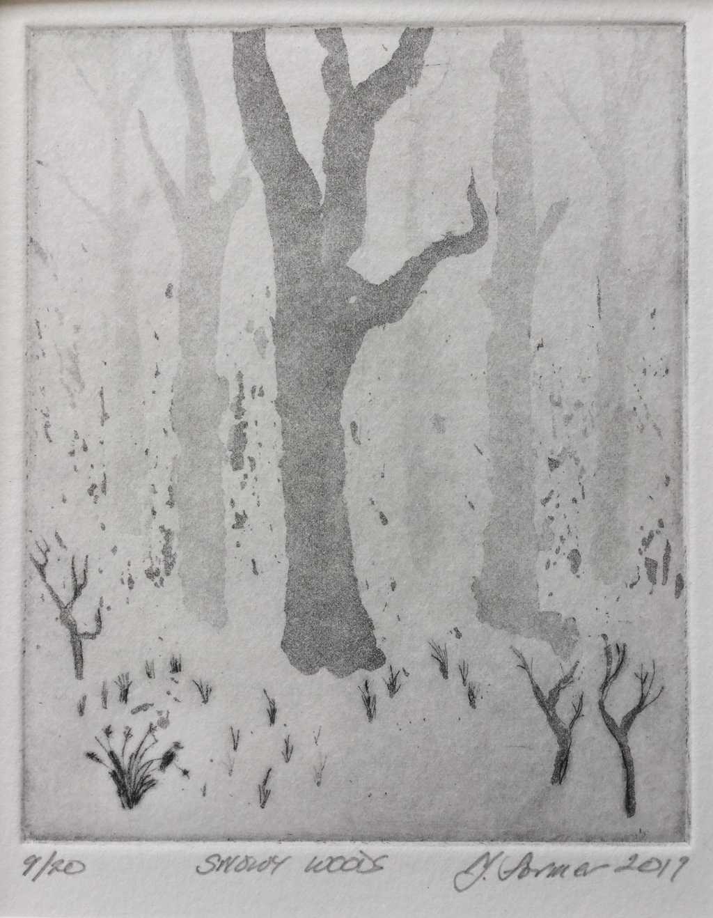 Snowy Woods