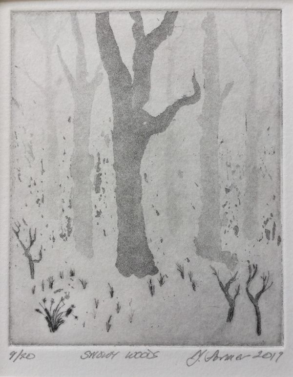 Snowy Woods