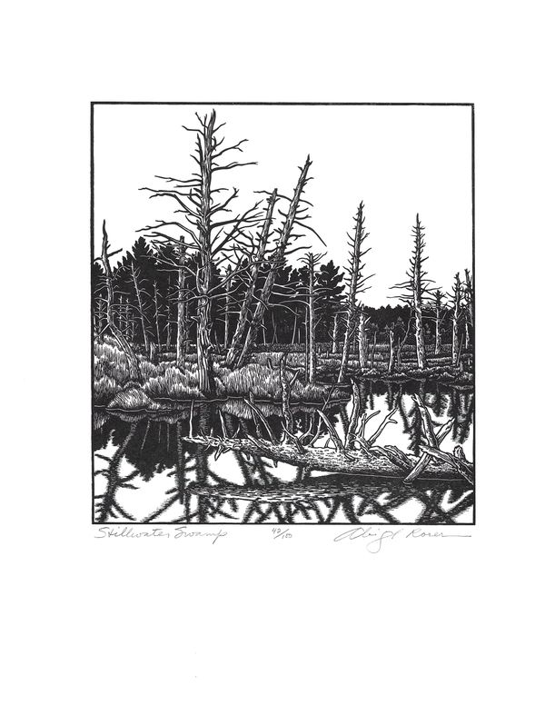 Stillwater Swamp