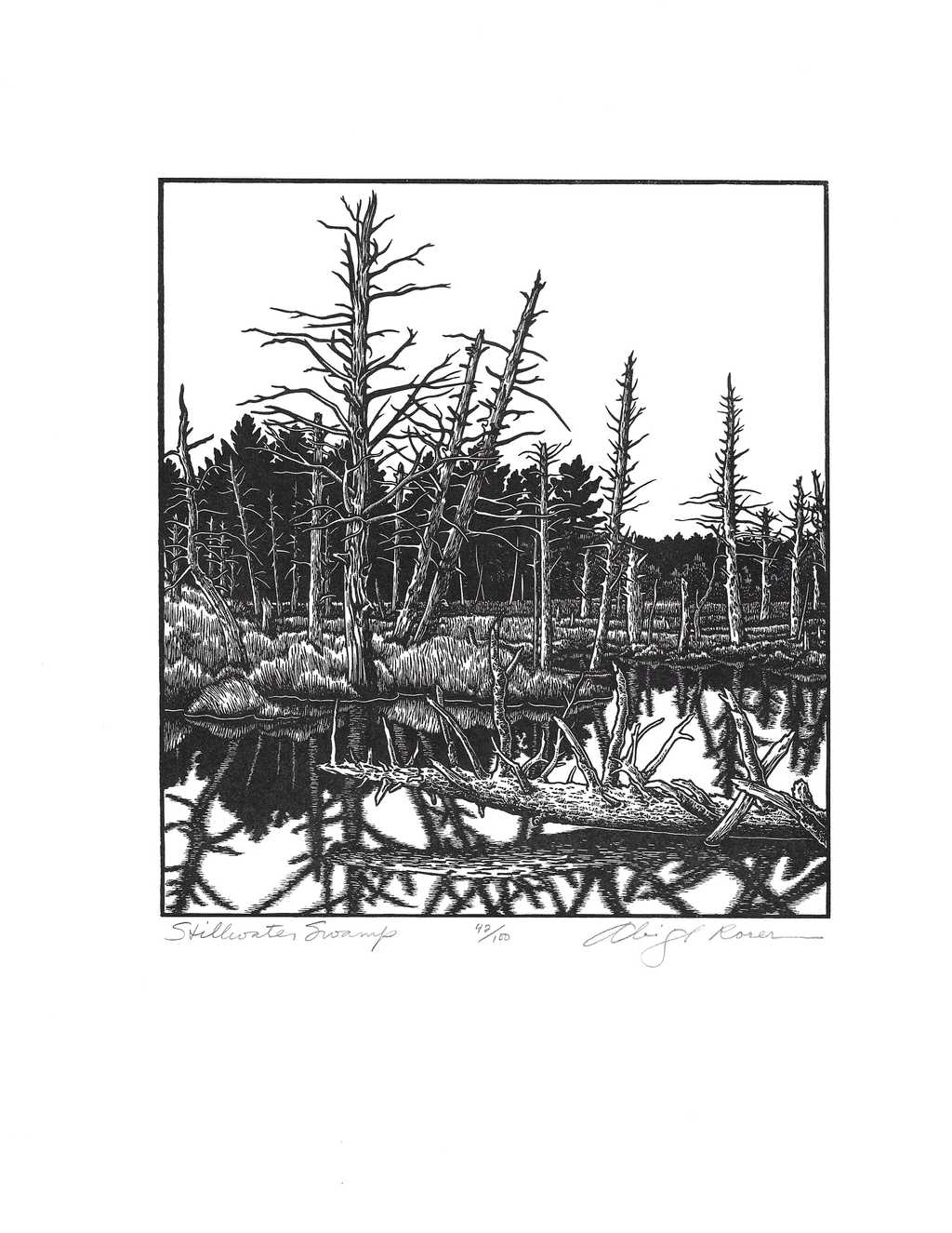 Stillwater Swamp