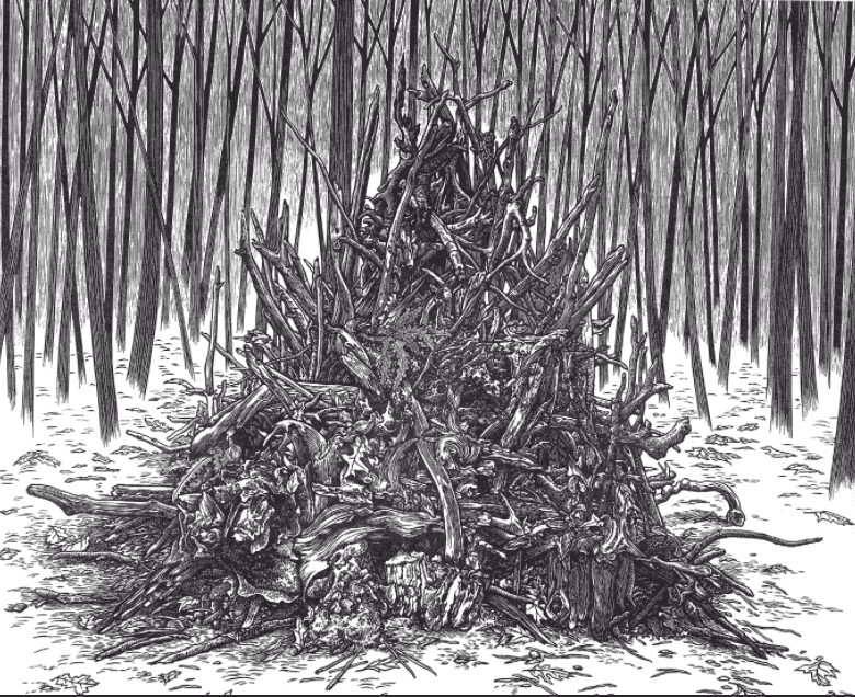 The Stumpery