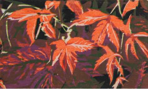 Virginia Creeper