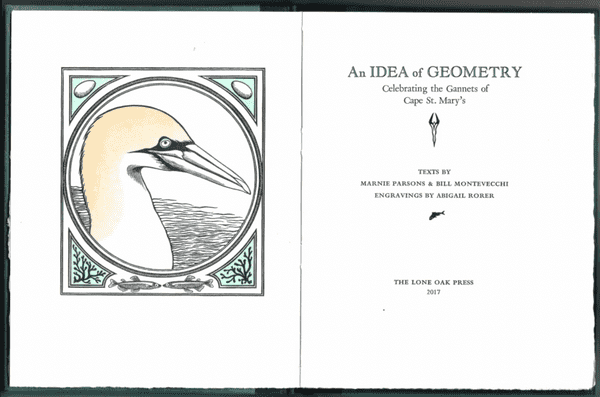 An Idea of Geometry; Celebrating the Gannets of Cape St. Mary's (Newfoundland)