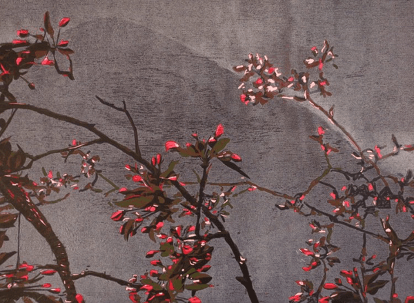 Spring View