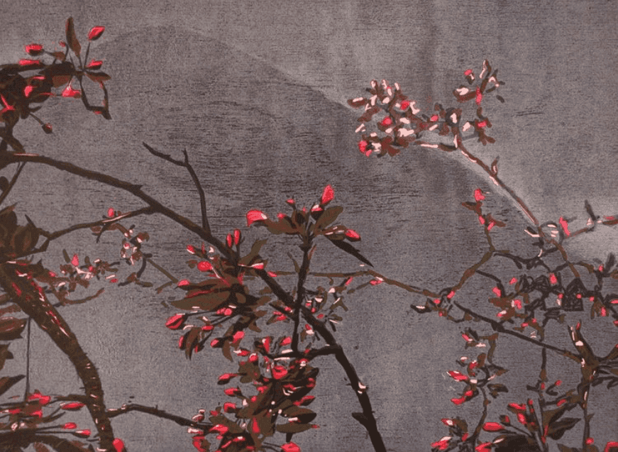 Spring View