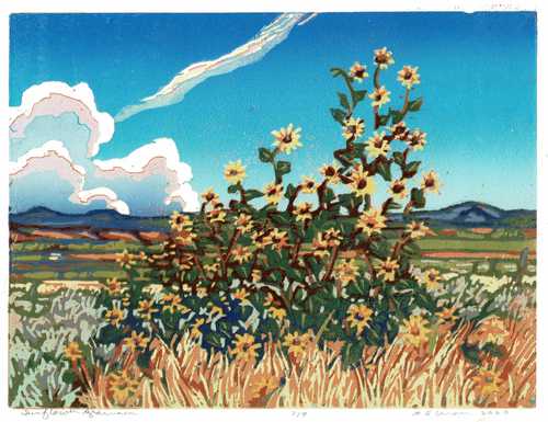 Sunflower Afternoon