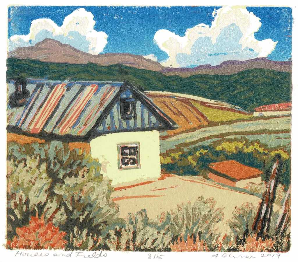 Houses and Fields