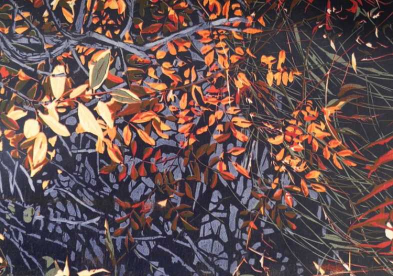 Fall Wetlands
