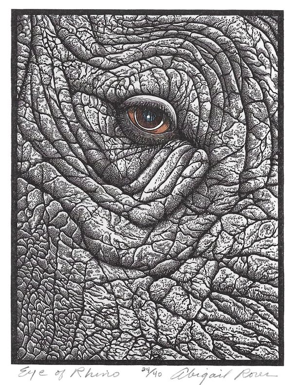 Eye of Rhino