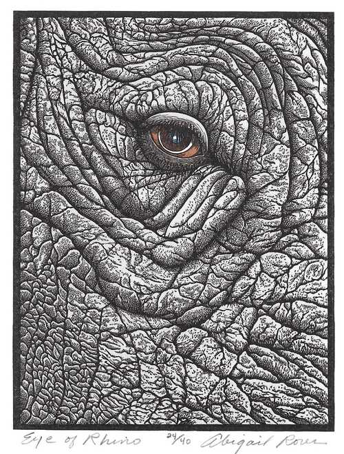 Eye of Rhino