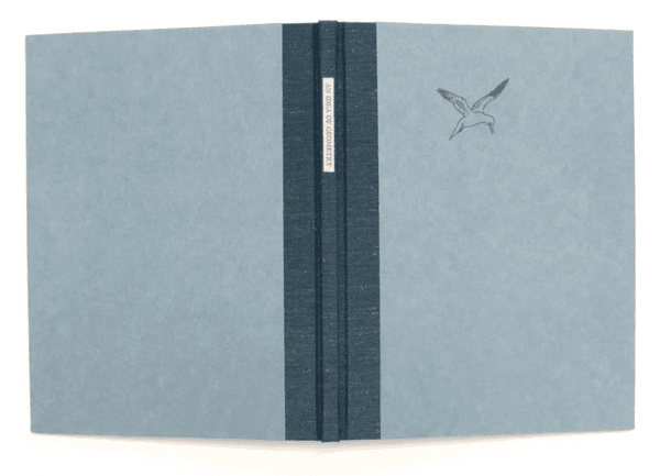 An Idea of Geometry; Celebrating the Gannets of Cape St. Mary's (Newfoundland)