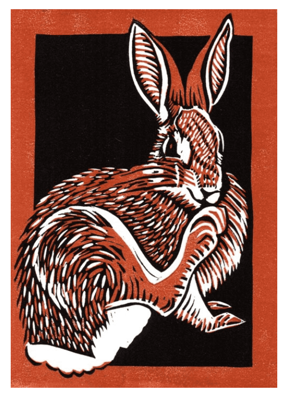 Rabbit Foot
