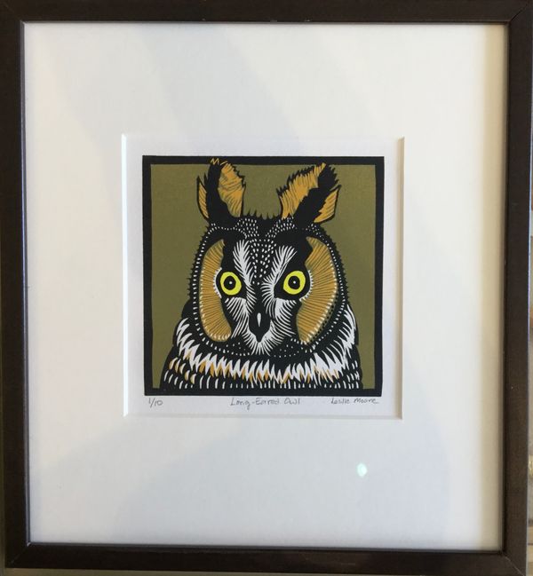 Long-Eared Owl