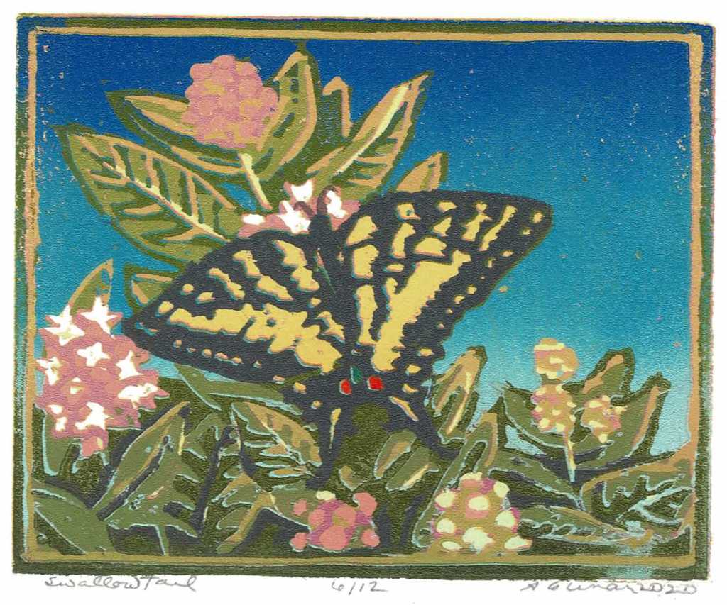 Swallowtail